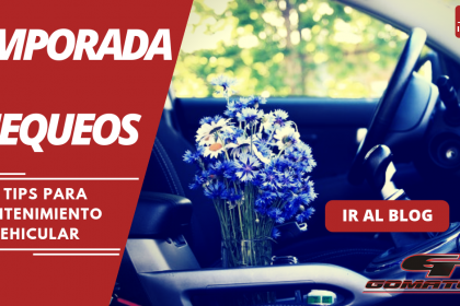 guia-completa-de-mantenimiento-vehicular-en-gomatodo-vicente-lopez